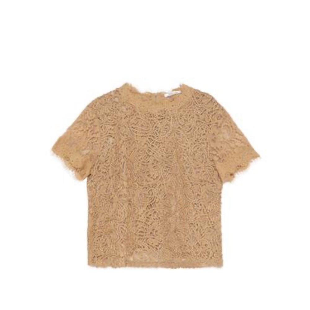 Zara Pink Embellished Blouse with Peter Pan Collar